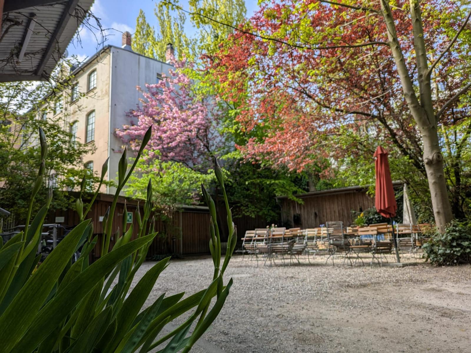 Frühlingsblüten im Innenhof