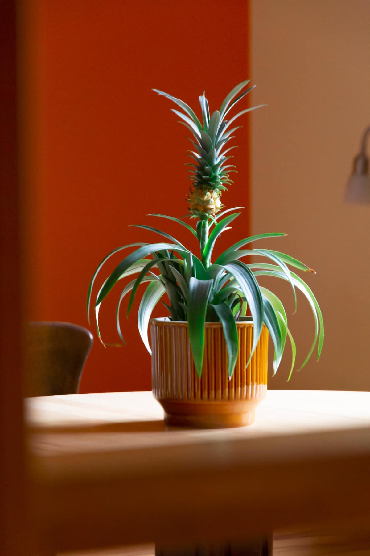 Vierbettzimmer – Bild 5
